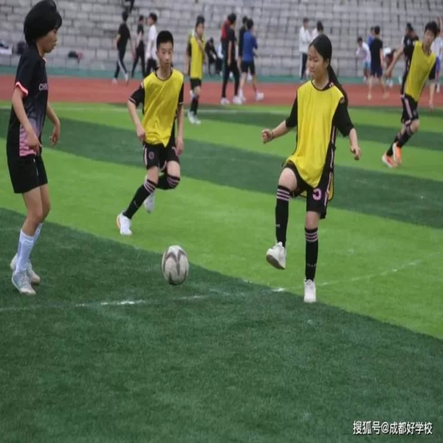 全国游泳冠军赛即将开赛看点十足